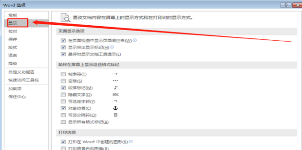 WPS分节符删除指南：从显示到批量清除的完整教程