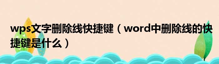 WPS删除线终极教程：从快捷键到高级技巧全解析